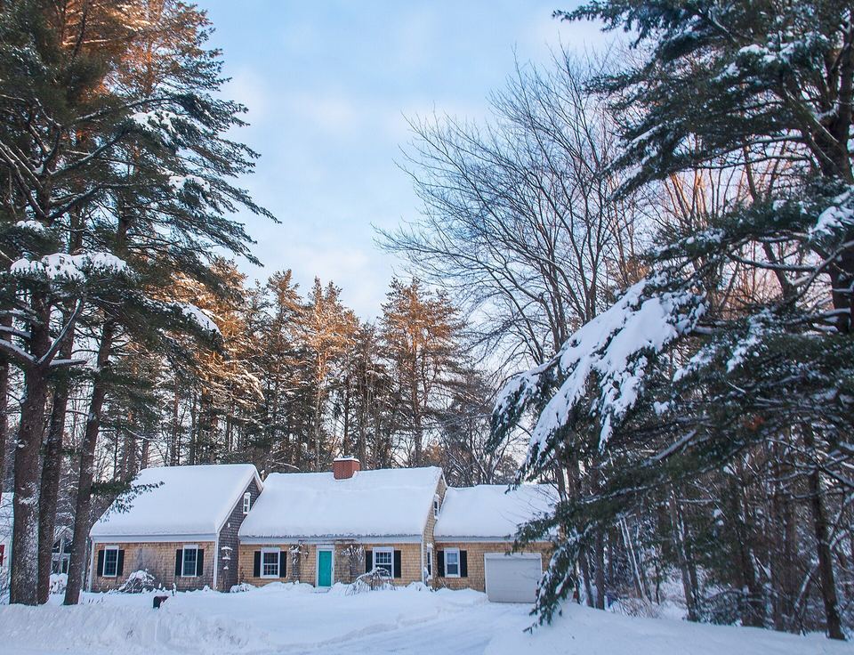 Row of snow-covered cape houses beneath tall pines on a sunny winter day