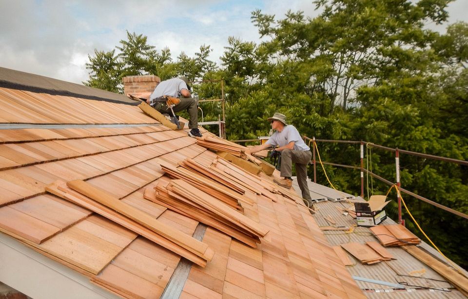 Two workers nailing new cedar shingles onto a roof from a scaffold